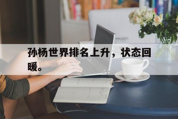 IM电竞-孙杨世界排名上升，状态回暖。