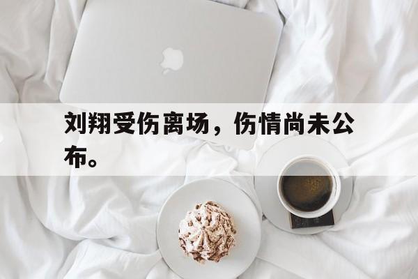 电子竞技游戏综合-刘翔受伤离场，伤情尚未公布。