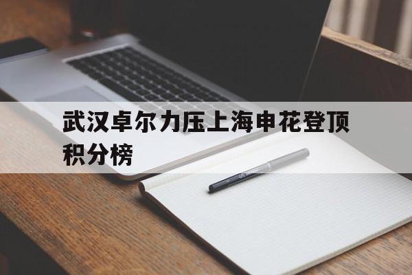 电子竞技游戏综合-武汉卓尔力压上海申花登顶积分榜